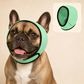 🐶Protetor de Ouvidos Impermeável e Relaxante para Cães | Acalma Instantaneamente os Cães Ansiosos – Proteção com Cancelamento de Ruído para Fogos de Artifício e Trovões