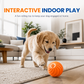 🏆Oferta por tempo limitado: 49% de desconto na 🐶🐾Bola saltitante interativa inteligente
