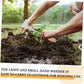🌱Aproveite já 50% de desconto! Removedor manual de ervas daninhas para limpeza de fendas - uma ferramenta robusta de metal com um cabo de madeira para remover ervas daninhas de todos os tipos de fendas.