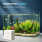🐠 COMPRE 1 E GANHE 1 GRÁTIS! ✨ FOLHAS CLARIFICANTES PARA AQUÁRIOS - Água cristalina em 24 horas, elimina odores e impurezas, seguro para todos os peixes e plantas 🌿