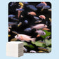 🐠 COMPRE 1 E GANHE 1 GRÁTIS! ✨ FOLHAS CLARIFICANTES PARA AQUÁRIOS - Água cristalina em 24 horas, elimina odores e impurezas, seguro para todos os peixes e plantas 🌿