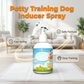 Spray auxiliar no treinamento de higiene para cães e gatos