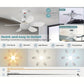 🔥Promoção 50% de desconto - 🎁Ventilador de teto portátil 2 em 1 com luz e controle remoto
