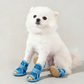 🐶Sapatos para cães em malha respirável e antiderrapantes
