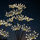 🏆ÚLTIMO DIA DE PROMOÇÃO: 50% DE DESCONTO!!🎁Luzes de jardim solares com efeito de fogos de artifício