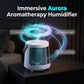 ✨✨Difusor de Óleos Essenciais Aurora Flame