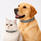 🔥🔥Coleiras ajustáveis contra pulgas e carrapatos para cães e gatos.🔥