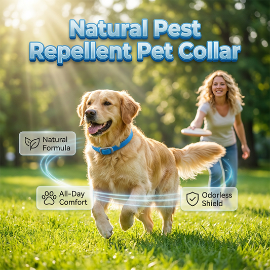 🥳💞Mais de 50 mil unidades vendidas!🌿🛡️ 50% de desconto! Coleira para animais de estimação com óleos essenciais naturais – 8 meses de proteção contra pulgas e carraças. À base de plantas, sem produtos químicos agressivos. Segura para cães e gatos! 🐾✨