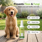 🔥🔥Spray suave 4 em 1 para animais de estimação