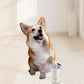 🐾✨ Limpador Rotativo Automático de Patas – Limpeza suave, eficiente e sem sujidade para cães e gatos