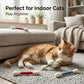 😻Brinquedo interativo para gatos com catnip