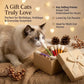 😻Brinquedo interativo para gatos com catnip